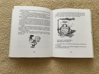 Obr jménem Drobeček. - 2