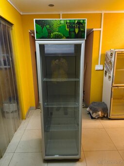 Prodám chladicí vitrínu - 2