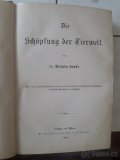 Kniha Die Schopfung der Tiervelt - 2