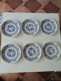 Sada cibulák Thun. - 2