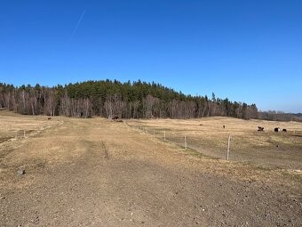 Nabízíme ustájení - 2