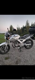 Cbf 250 - 2