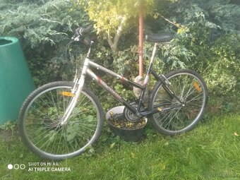 Kolo Olpran phantom - 2