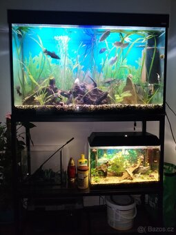 Prodám akvárium - 2