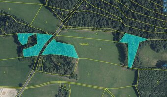 Prodám lesní pozemky v k.ú. Podměstí - 2