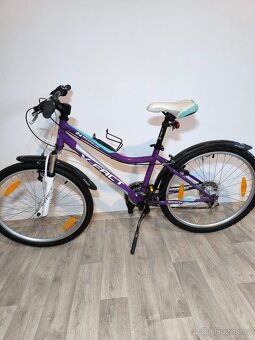 Kolo X-Fact 24 " - 2