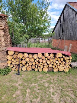 Palivové dřevo Borovice - 2
