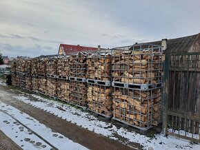 Tvrdé dřevo, briza - 2