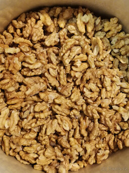 Vlašské ořechy - 2