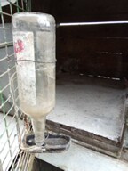 Prodej králikárny - 2