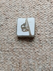 Stříbrný náhrdelník s pouty - 2
