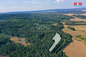 Prodej lesa, 7291 m², Dlouhý Újezd - 2