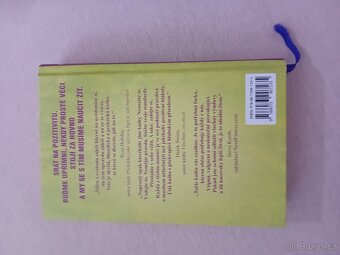 Důmyslné umění jak mít všechno u prdele- Mark Manson - 2