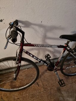 Pánské horské kolo - 4EVER Control - 2