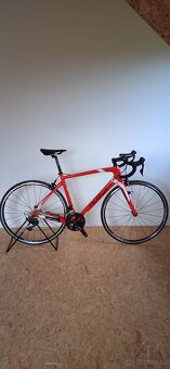 Wilier GTR TEAM - 2