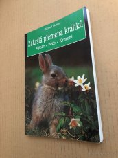 Zakrslá plemena králíků - kniha - 2