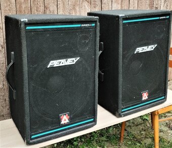 Reprobedny Peavey - 2