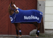 Modrá deka odpocovací Nutri Horse - 2