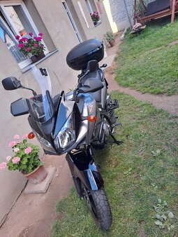 Suzuki DL 650 V-strom - 2