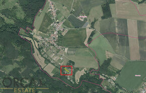 Lesní pozemek 1251 m2 v k.ú. Prostějovičky - 2