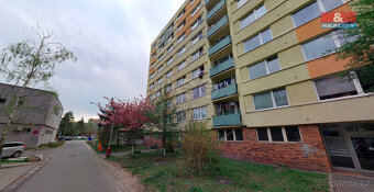 Pronájem bytu 1+1, 43 m², Mladá Boleslav, ul. U stadionu - 2