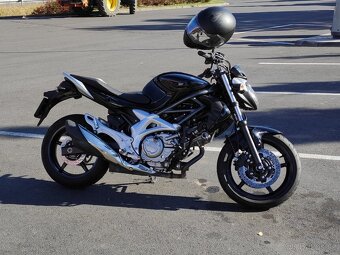 Suzuki Gladius SFV 650 - 2