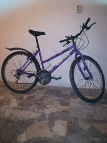 Horská kola Engine 2 ks - 2