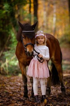 Predam S pony do sportu - 2