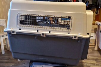 Přepravní box XXL - 2