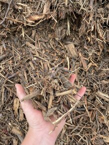 Štěpka dřevní - 2