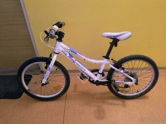 Superior Paint 20 - 2