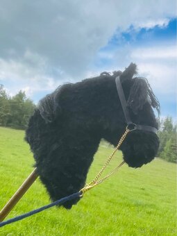 Hobby horse - 2