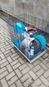 Klec Savic Freddy 2 max + náhradní dno + vybavení + jídlo - 2