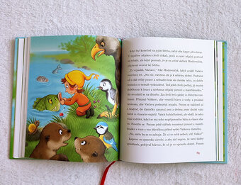 Medovníček a řeka Modrávka - J.Lebeda - 2