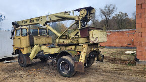 Atojeřáb Ifa - 2