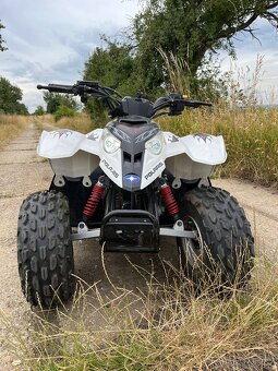 Polaris Predátor 50ccm - 2
