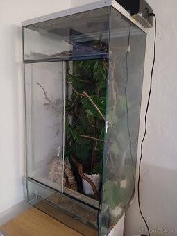 Terarium - 2