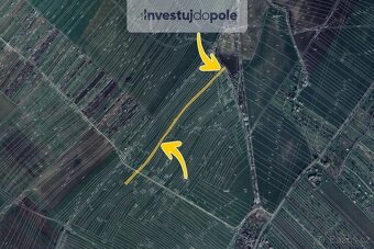 Prodej sadu / vinice 2 323 m², Strážnice - 2