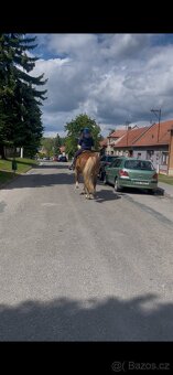 Klisna Cmb - 2