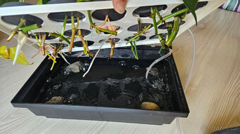 ClonAir Aero řízkovnice pro 15 rostlin - 2