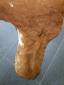 pravá kůže, hovězí kožešina, IKEA, 208cm - 2