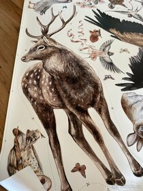 Tapeta do interiéru, nová - 2