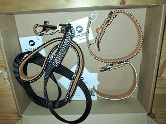 Vodítko Argus collar +2× obojek - 2