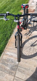 Dětské kolo Dino Bikes 20" Aurelia - 2