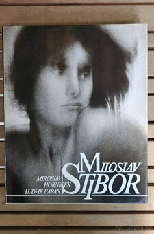 Sudek,Stibor,Borovička,sto let Aktu,Femina - 2