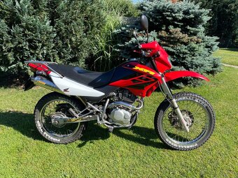 Honda XR 125 2004 - 2