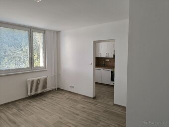 Pronájem 1+1 Lipník nad Bečvou - 2