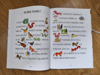 Malované čtení - Jiří Havel - 2