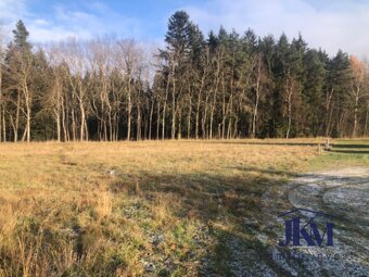Prodej stavebního pozemku pro bydlení, 2691 m2, Javorník u S - 2