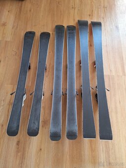 Dětské lyže 100,110,120cm - 2